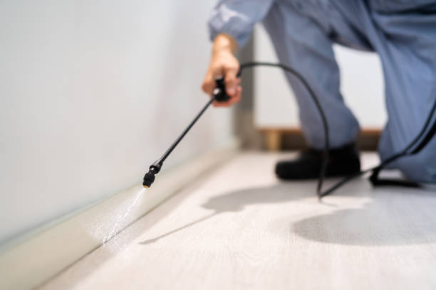 Bed Bug Pre-Treatment Preparation Assessment in Byron Center