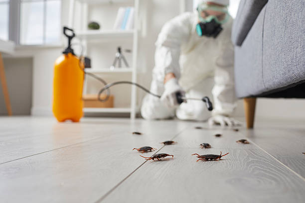 Post-Treatment Bed Bug Interceptor Monitoring in Byron Center