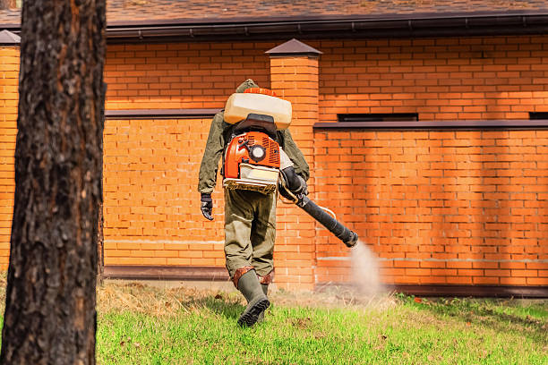 Bed Bug Clearance Verification and Documentation in Byron Center